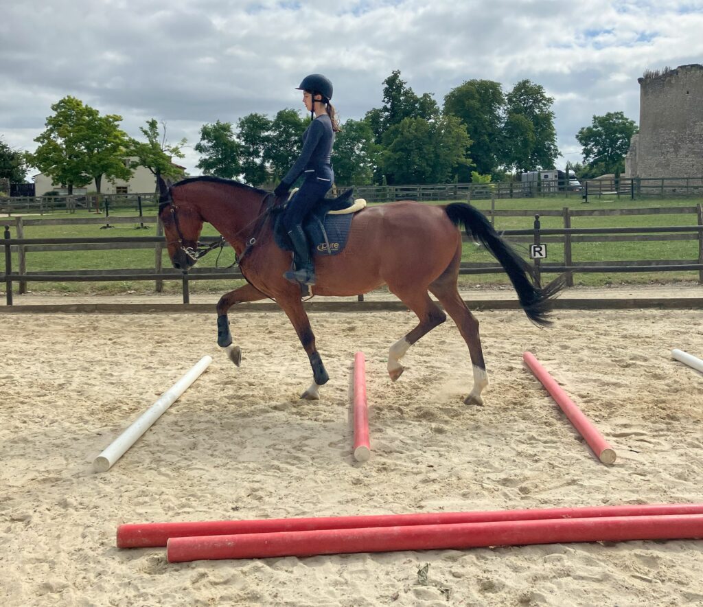 English Ridig English & Riding - Equienglish